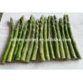 Organic Frozen Asparagus Price